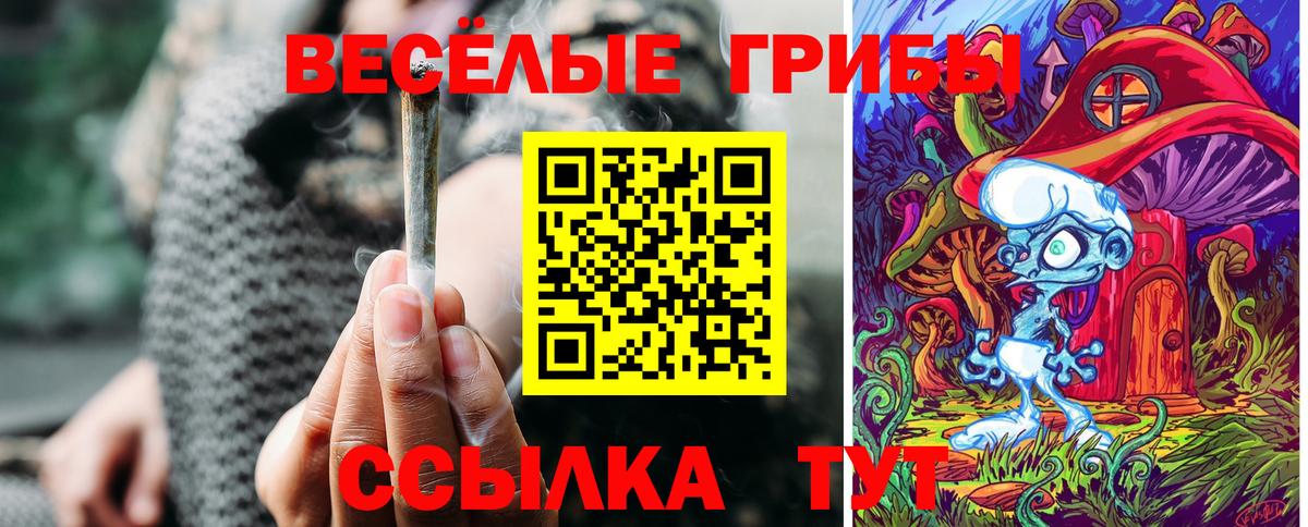 Холмск  Галлюциногенные грибы MAGIC MUSHROOMS  Вход с VPN  Галлюциногенные грибы ЛСД 