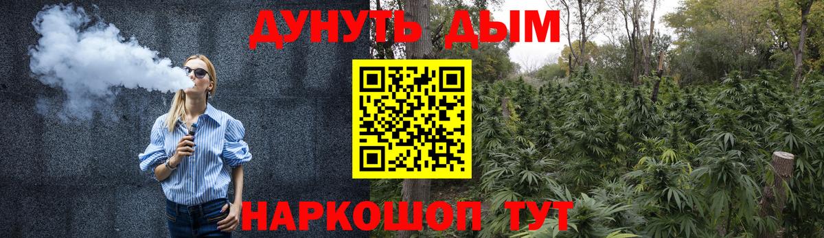 Каннабис гибрид Холмск